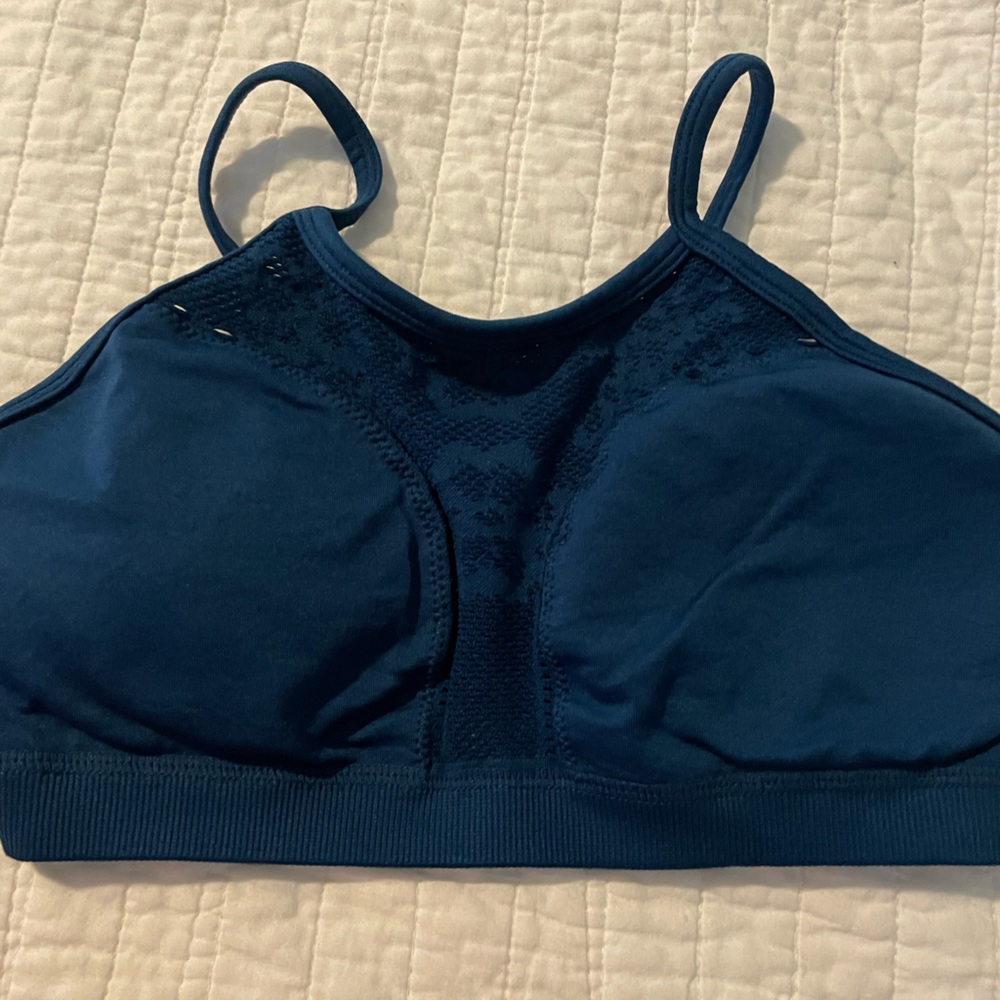 Fabletics Sports Bra